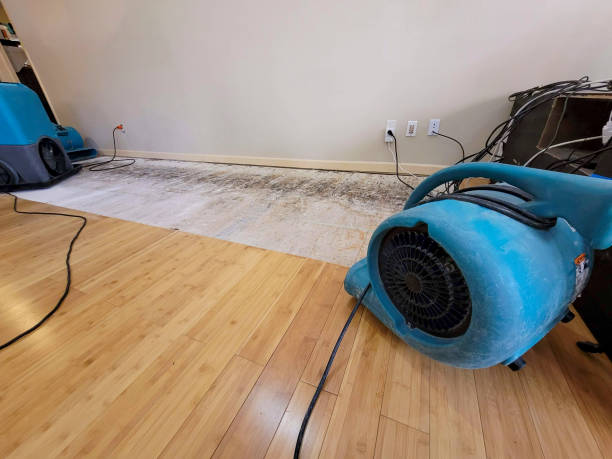 Professional Water Damage Repair technician working in Hastings, MI
